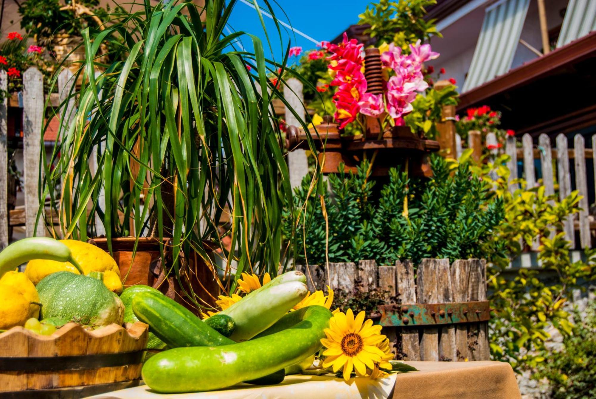 Agriturismo Mare E Monti Agerola Exteriér fotografie