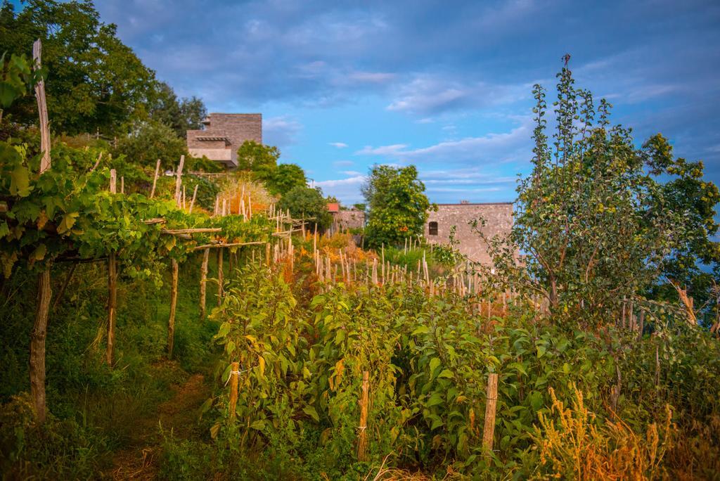 Agriturismo Mare E Monti Agerola Exteriér fotografie