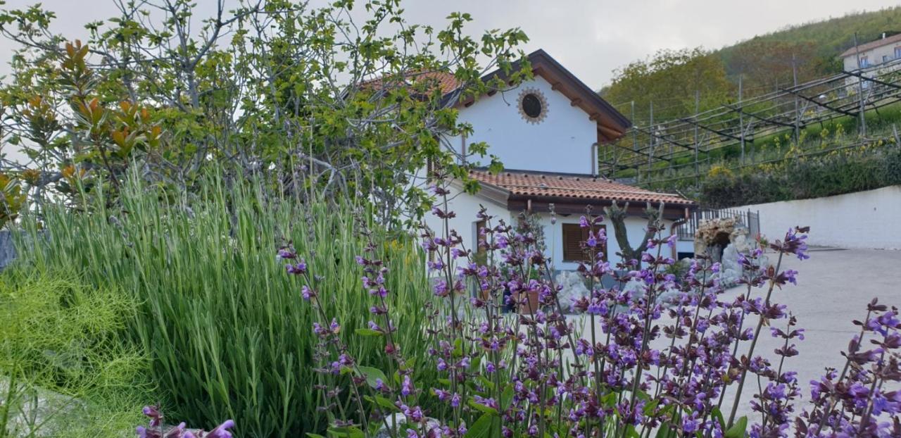 Agriturismo Mare E Monti Agerola Exteriér fotografie