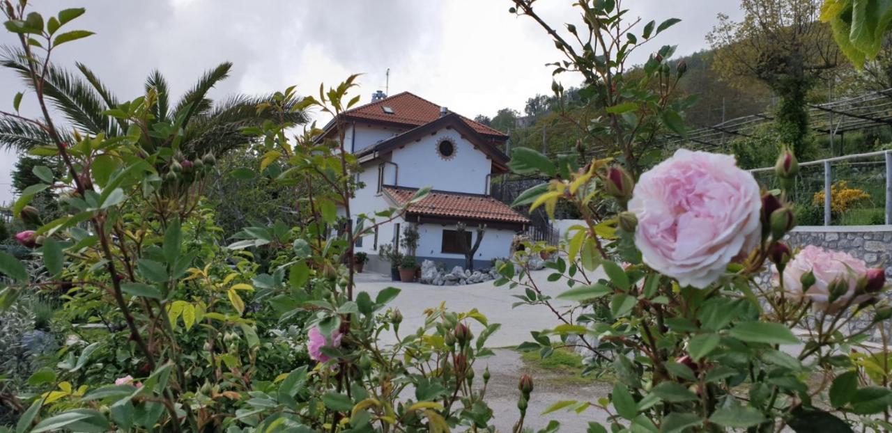 Agriturismo Mare E Monti Agerola Exteriér fotografie