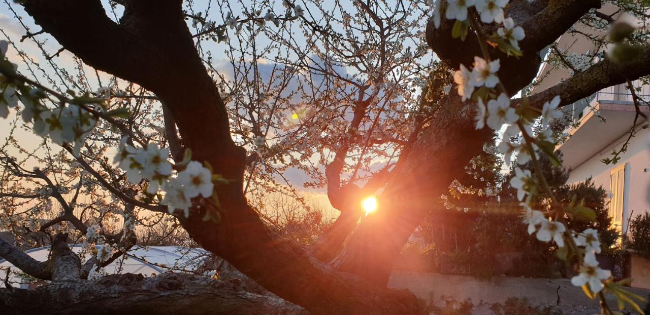 Agriturismo Mare E Monti Agerola Exteriér fotografie